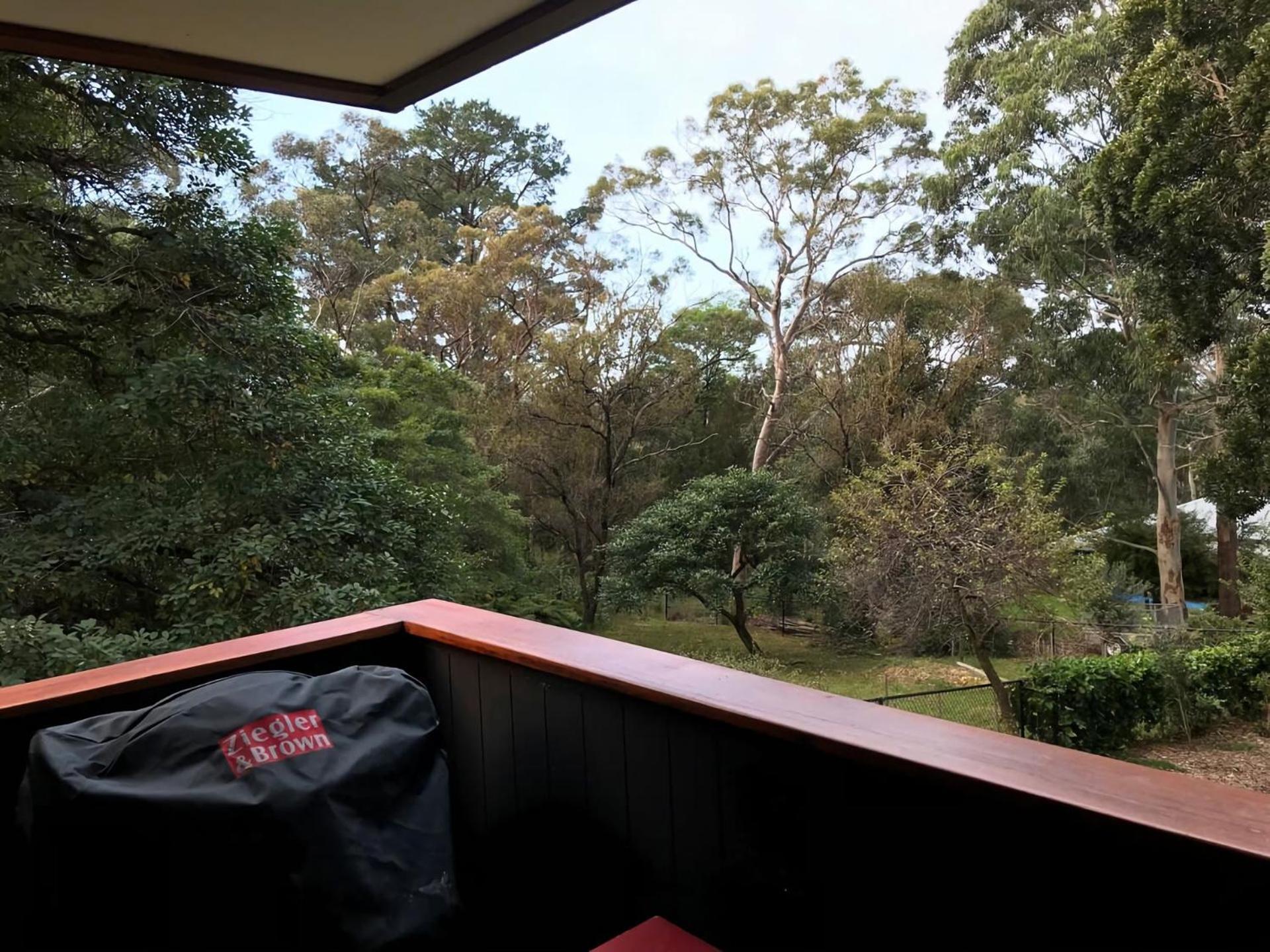 Architecturally Designed Nature Lovers Delight Faulconbridge Exterior foto